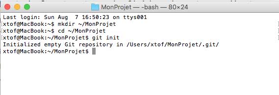 repo local dans le terminal
